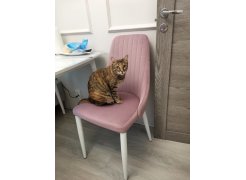 Стул на металлокаркасе Kora beige / black фото покупателя 187