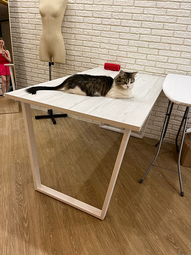 Деревянный стол Лота Лофт 120х75 белый матовый / дуб крафт золотой фото покупателя 907