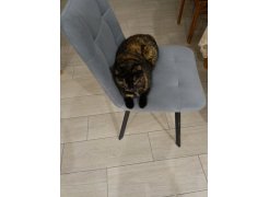 Стул на металлокаркасе Чилли черный фото покупателя 526