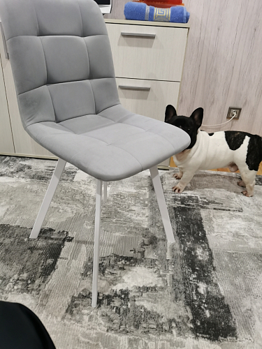 Стул на металлокаркасе Чилли К темно-серый (velutto 32) / черный фото покупателя 264