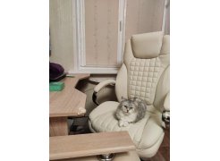 Компьютерное кресло Herd dark grey фото покупателя 94