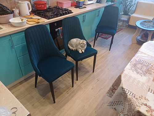 Стул на металлокаркасе Kora green / black фото покупателя 397