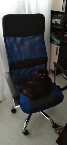 Компьютерное кресло ARANO черное фото покупателя 184