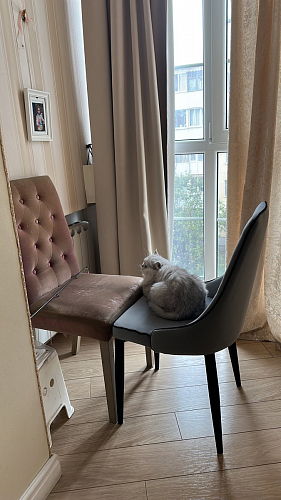 Стул на металлокаркасе Kora white / gray фото покупателя 276