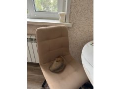 Стул на металлокаркасе Чилли черный фото покупателя 184