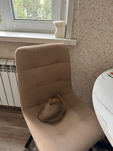 Стул на металлокаркасе Чилли светло-серый / черный фото покупателя 170