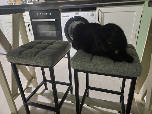 Барный стул Лофт линкольн белый / белый матовый фото покупателя 230