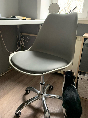 Компьютерное кресло Kolin light gray фото покупателя 86