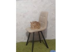 Стул на металлокаркасе Чилли светло-серый / черный фото покупателя 600