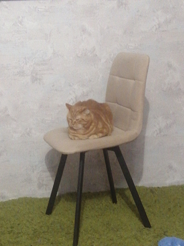 Стул на металлокаркасе Чилли К черный / зеленый фото покупателя 600