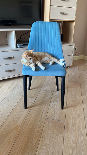 Стул на металлокаркасе Kora green / black фото покупателя 111