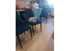 Стул на металлокаркасе Kora gray / black фото покупателя 398