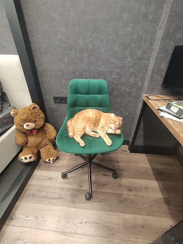 Компьютерное кресло Честер голубой (velutto 47 ) / черный фото покупателя 58