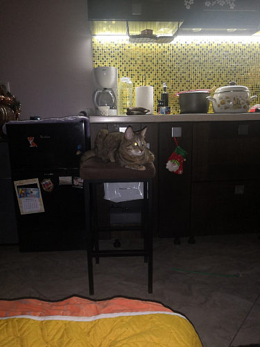 Барный стул Лофт катания лаванда / белый матовый фото покупателя 69