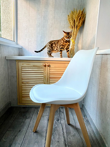 Деревянный стул Bonuss dark gray фото покупателя 1