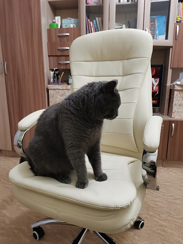 Компьютерное кресло Tomar черное фото покупателя 38