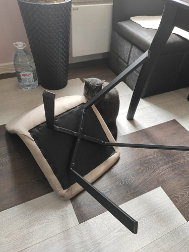 Стул Bruk бежевый фото покупателя 5