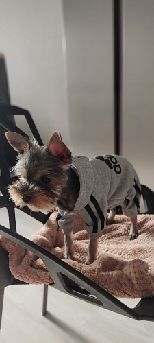 Стул One PC-015 черный фото покупателя 53