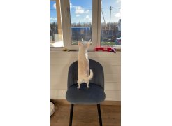 Стул на металлокаркасе Gabi gray / black фото покупателя 318