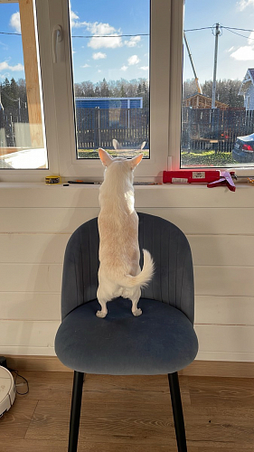 Стул на металлокаркасе Gabi gray / black фото покупателя 318