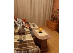 Журнальный столик Лидер дуб сонома фото покупателя 30