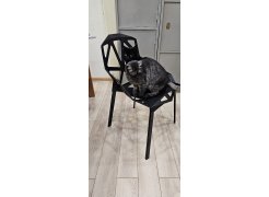 Стул One PC-015 белый фото покупателя 34