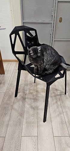 Стул One PC-015 белый фото покупателя 34