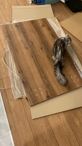 Стол Тринити Лофт 120 32 мм дуб галифакс табако / черный матовый фото покупателя 843