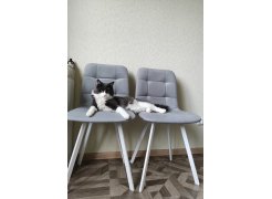 Стул на металлокаркасе Чилли светло-серый / черный фото покупателя 447