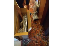 Компьютерное кресло Vestra cream фото покупателя 4