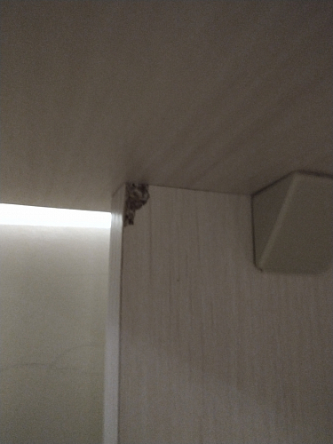 Стол письменный Kiwi белый фото покупателя 86