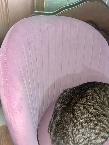 Стул на металлокаркасе Gabi latte / gold / black фото покупателя 763