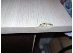 Стол письменный СП4 венге / дуб молочный фото покупателя 36