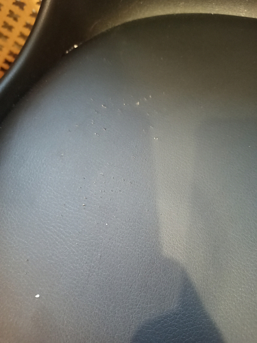 Деревянный стул Bonuss light gray / wood фото покупателя 6