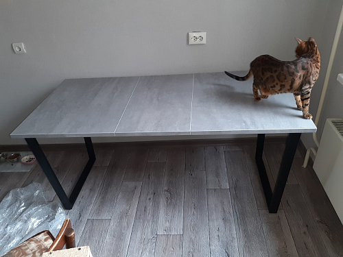 Деревянный стол Лота Лофт 120x75 дуб крафт табачный / черный матовый фото покупателя 165