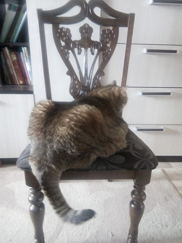 Стул Mengen cappuccino фото покупателя 4