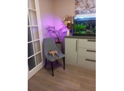 Стул на металлокаркасе Kora green / black фото покупателя 298