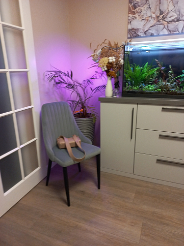 Стул на металлокаркасе Kora green / black фото покупателя 298