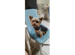 Стул на металлокаркасе Kora gray / black фото покупателя 95