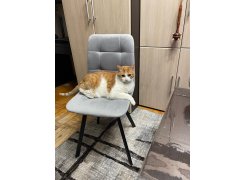 Стул на металлокаркасе Чилли черный фото покупателя 67