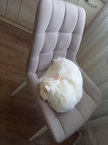 Стул на металлокаркасе Челси бирюзовый / черный фото покупателя 166