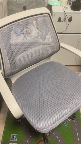 Компьютерное кресло Ergoplus розовое фото покупателя 8