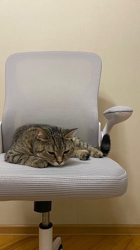 Компьютерное кресло Konfi dark gray / pink / white фото покупателя 232