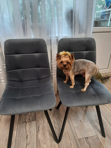 Стул на металлокаркасе Чилли синяя ткань / белый фото покупателя 730