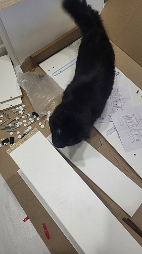 Стеллаж Мадера М600 лдсп белый фото покупателя 3