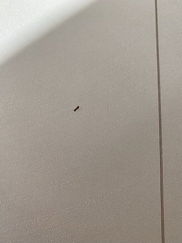 Стол-книжка СтК-3 белый фото покупателя 1