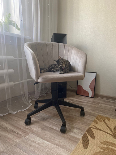 Компьютерное кресло Тибо 01 светло-коричневый / черный фото покупателя 172