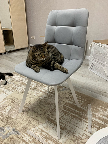 Стул на металлокаркасе Чилли синяя ткань / белый фото покупателя 928