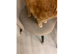 Стул на металлокаркасе Gabi 1 light purple / black фото покупателя 670