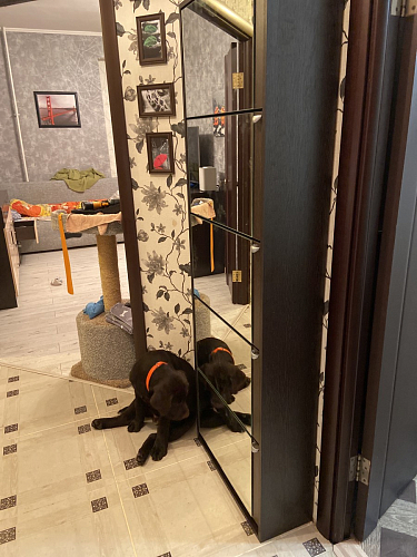 Обувница К-5 (зеркальная) венге / беленый дуб фото покупателя 3